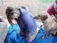 A man helps a dog fuck a female after the dog seizes the opportunity.